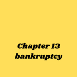 chapter 13 bankruptcy